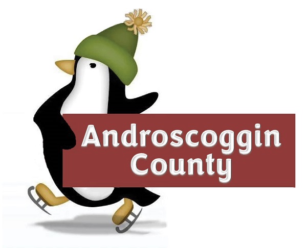 Penguin with Androscoggin County on banner